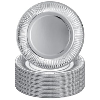 GSrenyu Silver Paper Plates