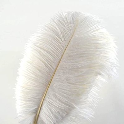 Crenze 10pcs ostrich feathers 12-14inch(30-35cm)…