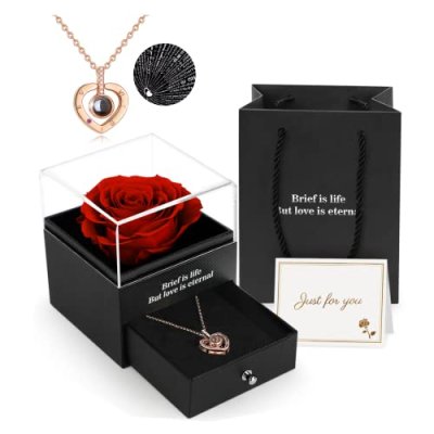 Preserved Rose & Necklace Gift