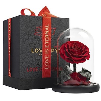 LOVAPPY Preserved Rose