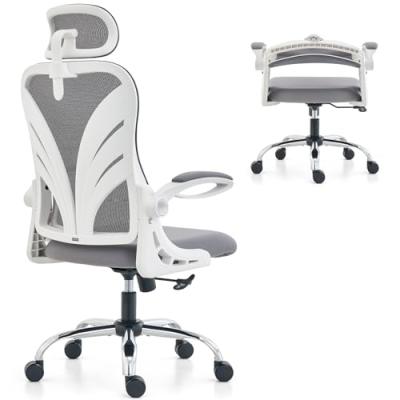 HOLLUDLE Ergonomic Office Chair