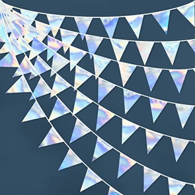 Iridescent Fabric Banner