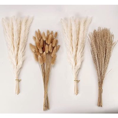 Dried Pampas Grass and Flowers