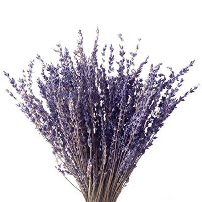 Dried Lavender Flowers