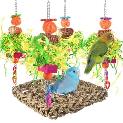 Erkoon Bird Toy