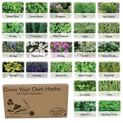 Pronto Seed Herb Pack