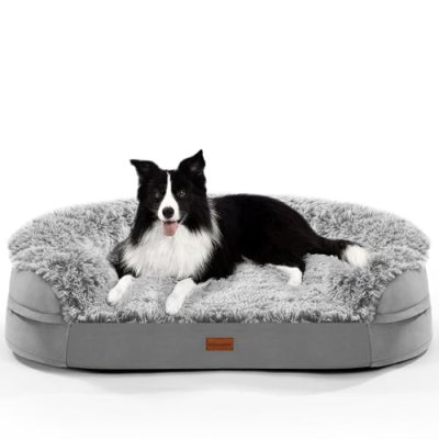 Orthopedic Dog Bed