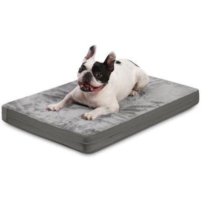 Orthopedic Dog Bed