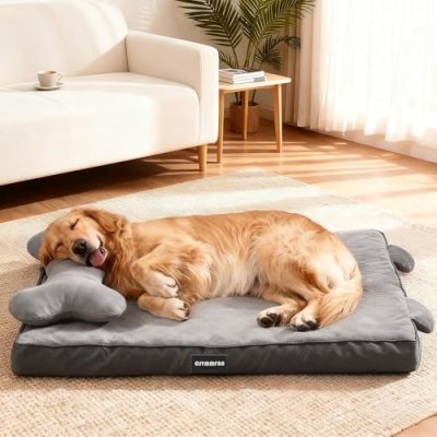 Orthopedic Dog Bed