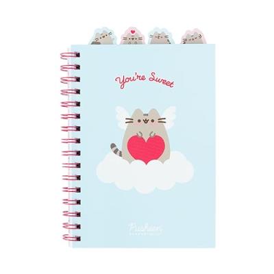 Grupo Erik A5 Project Notebook - Pusheen Merchandise
