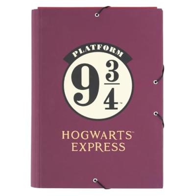 Grupo Erik Harry Potter A4 Folder
