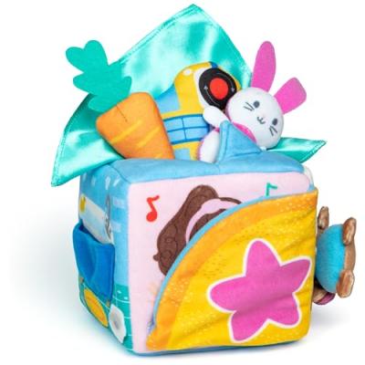 Ms. Rachel Learning Box