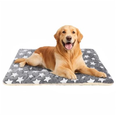 TMBsFatn Dog Bed