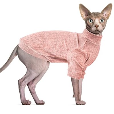 Oslueidy Cat Sweater