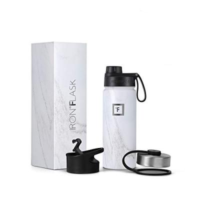 Stainless Steel Water Bottle with Straw Lid