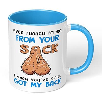 Stepdad Humor Mug Gift
