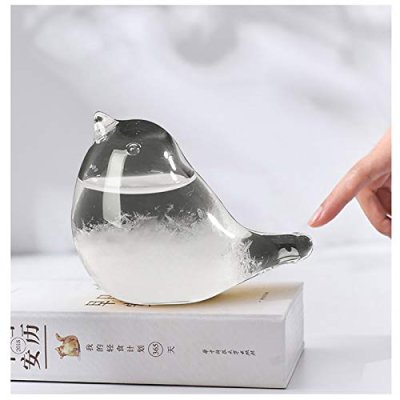 SUNJULY Storm Glass Barometer