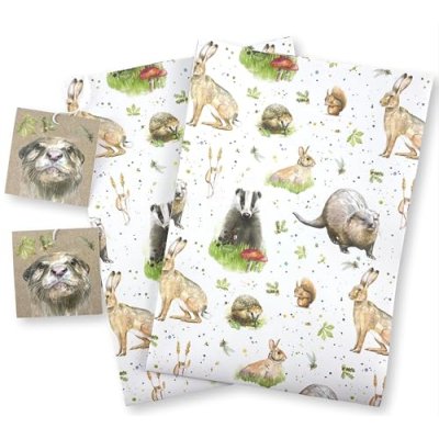 Otters, Badgers, Squirrels, Hares, Rabbit and…