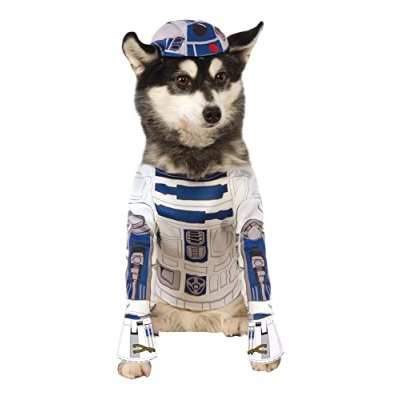 Rubies R2-D2 Dog Costume
