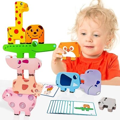 OSLINE Building Blocks Stacking Toy