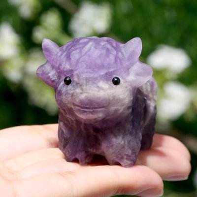 GujoXila Highland Cow