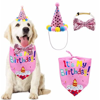 Zukent Pet Birthday Set