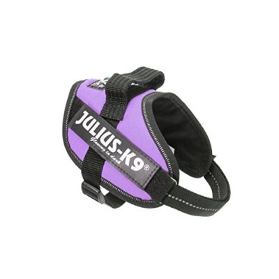 Julius-K9 IDC Powerharness