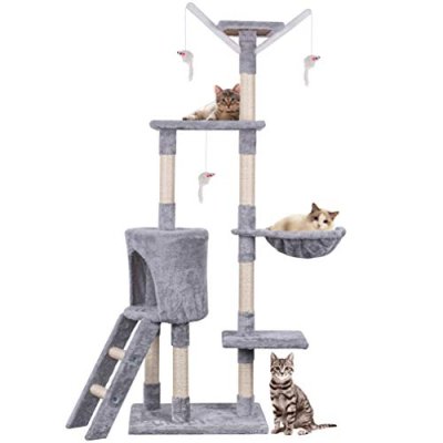 Multi-Level Cat Tree
