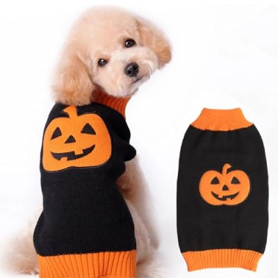 Pumpkin Dog Costume