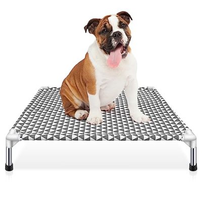Kuntrust Elevated Dog Bed