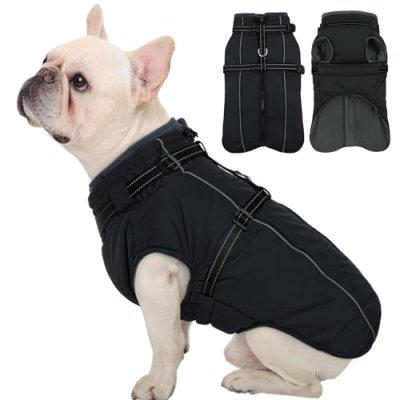 Kuoser Small Dog Coat