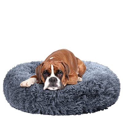 Fur & Bone Dog Bed