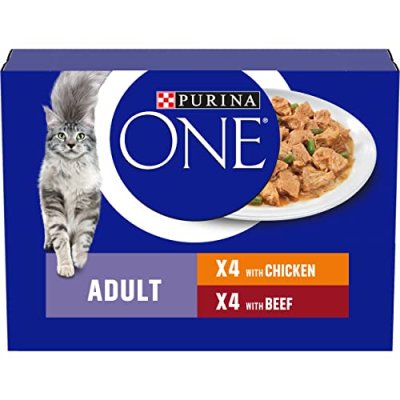 Purina ONE Cat Food
