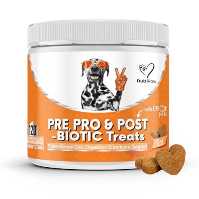 NutriPaw Digestive Dog Treats