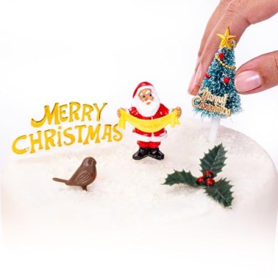 Evelay Christmas Cake Toppers