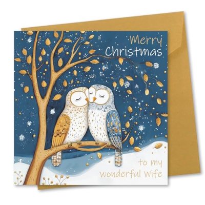 Owls Christmas Card for Wife
