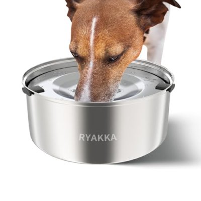 Ryakka Dog Water Bowl