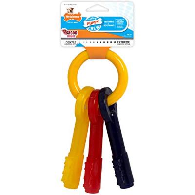 Nylabone Puppy Teething Chew Toy Keys