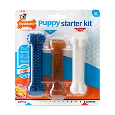 Nylabone Puppy Chew Kit