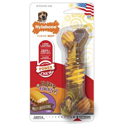 Nylabone Extreme Chew Toy